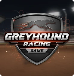 Sports & Action Sports & Action